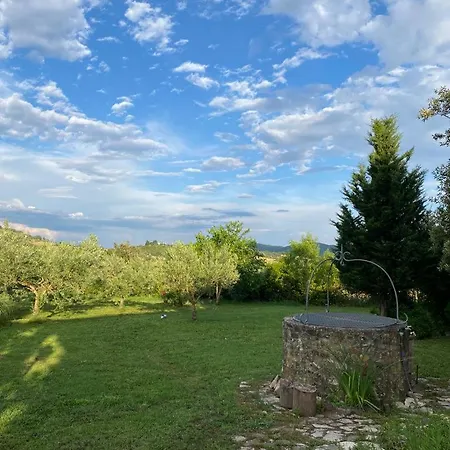 Agribike Agriturismo Poggio Rossino Gavorrano Exterior photo